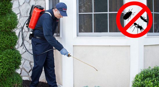 Bahçesaray Fare İlaçlama böcek ilaçlama ve haşere kontrolü — ilaclama-tr.com
